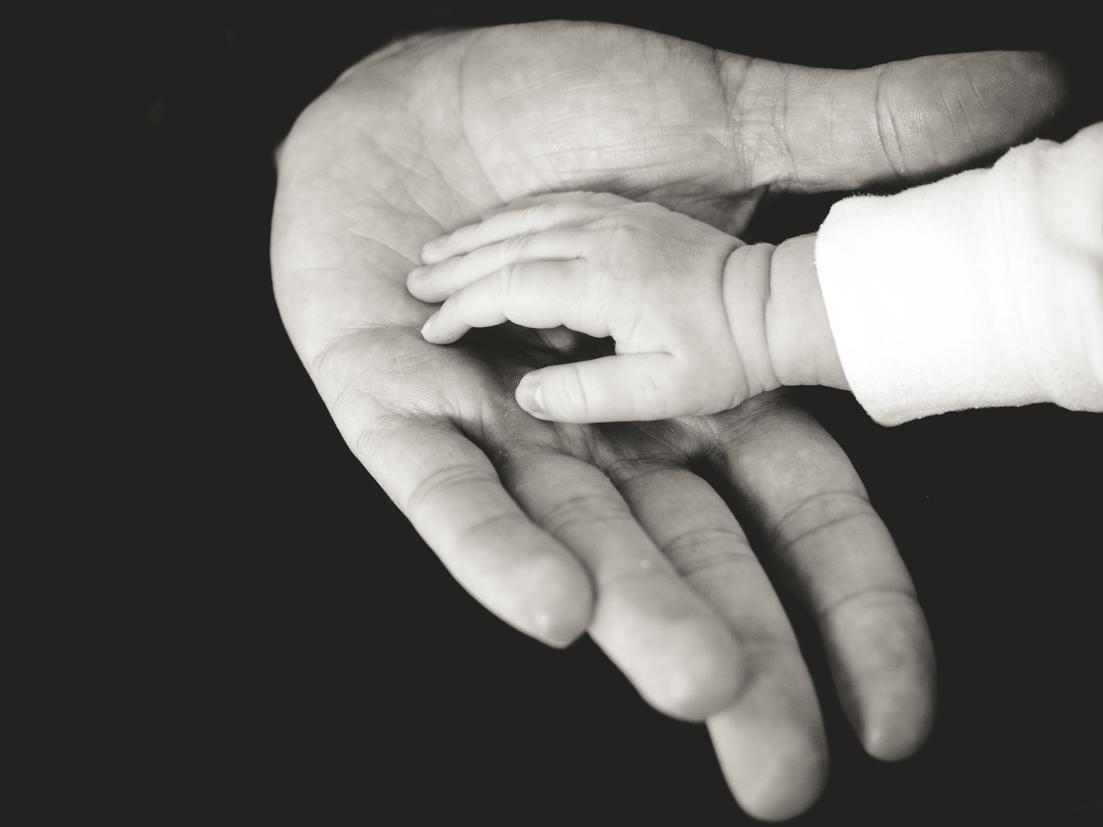 child and parent hands